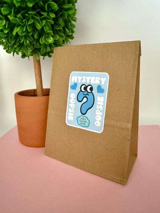 MYSTERY OOPSIE BAG